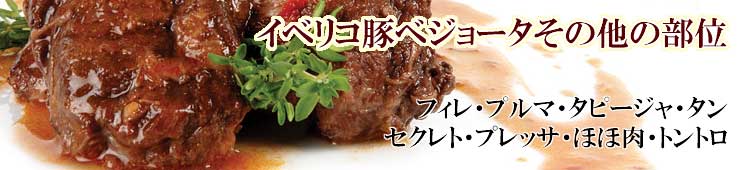 ���٥ꥳ�ڥ٥��硼������¾������