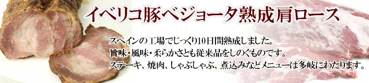 ���٥ꥳ�ڥ٥��硼��������������