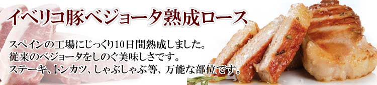���٥ꥳ�ڥ٥��硼������������