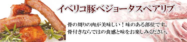 ���٥ꥳ�ڥ٥��硼�����ڥ����