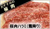 桜肉ハラミ（霜降り）