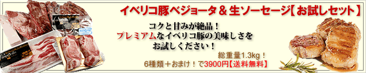イベリコ豚ベジョータ＆生ソーセージお試しセット【送料無料】