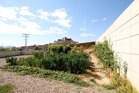 IMG_5478.JPG