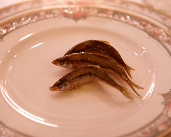 DSC_7722.jpg DSC 7722