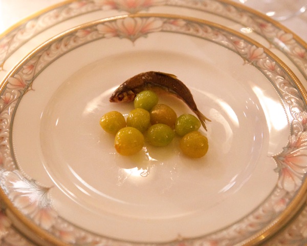 DSC_7724_2.jpg DSC 7724 2