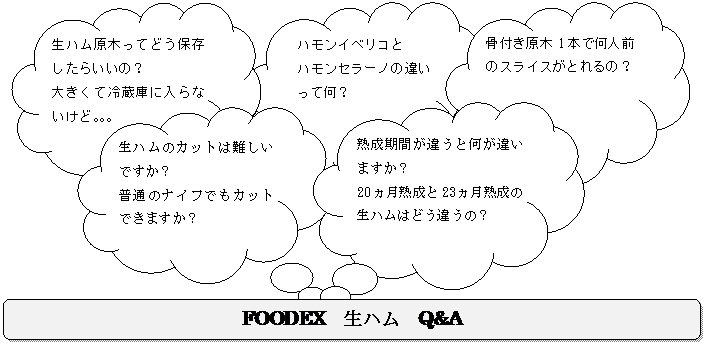 生ハムQ＆A