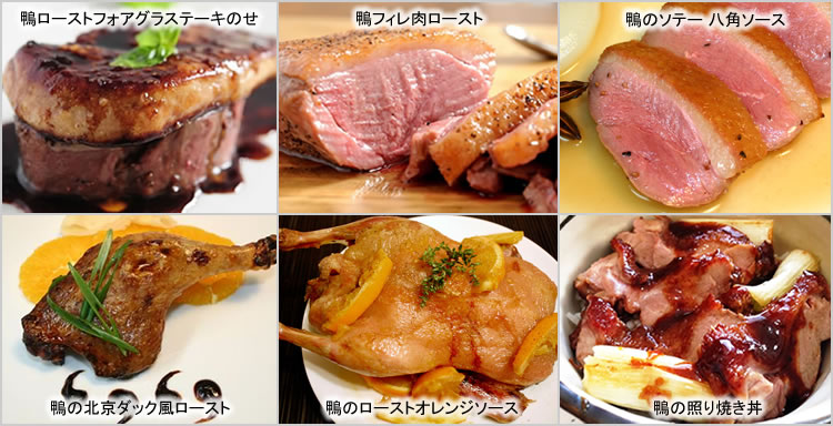 鴨 肉 レシピ