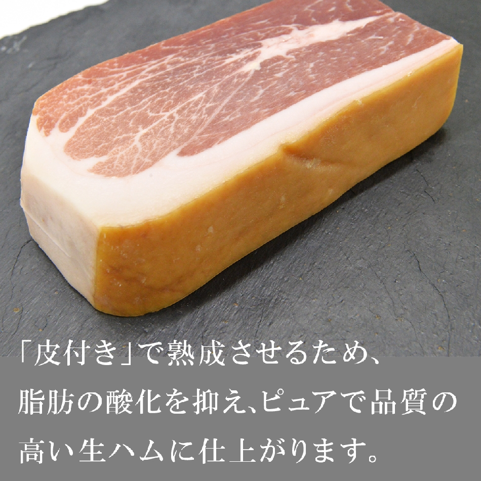 はみまん素人 肉と脂のバランスが抜群の最高部位】ハモンセラーノ(マサ)18ヶ月熟成生ハム(ミニ原木 )トレベレス産 | グルメソムリエ