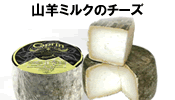 山羊ミルクのチーズ